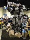 DSC00773