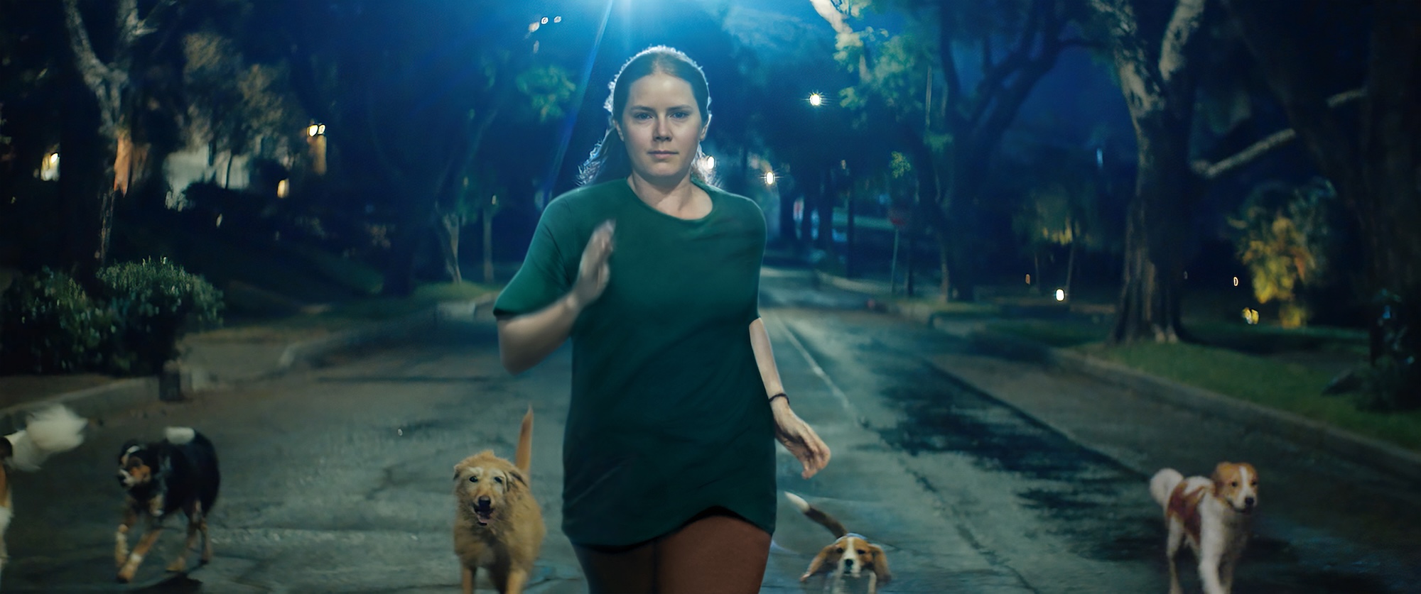 Amy Adams runing down the street with a pack of dogs in NIGHTBITCH.